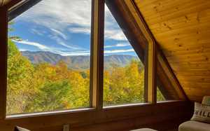 vacation rental condos
